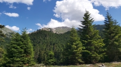 Parnassos Mt.