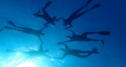 Escursione snorkeling