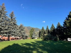Metsovo green